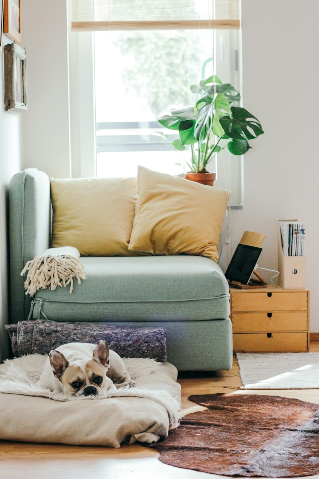 How to Balance Responsibilities While Getting a Home Market-Ready