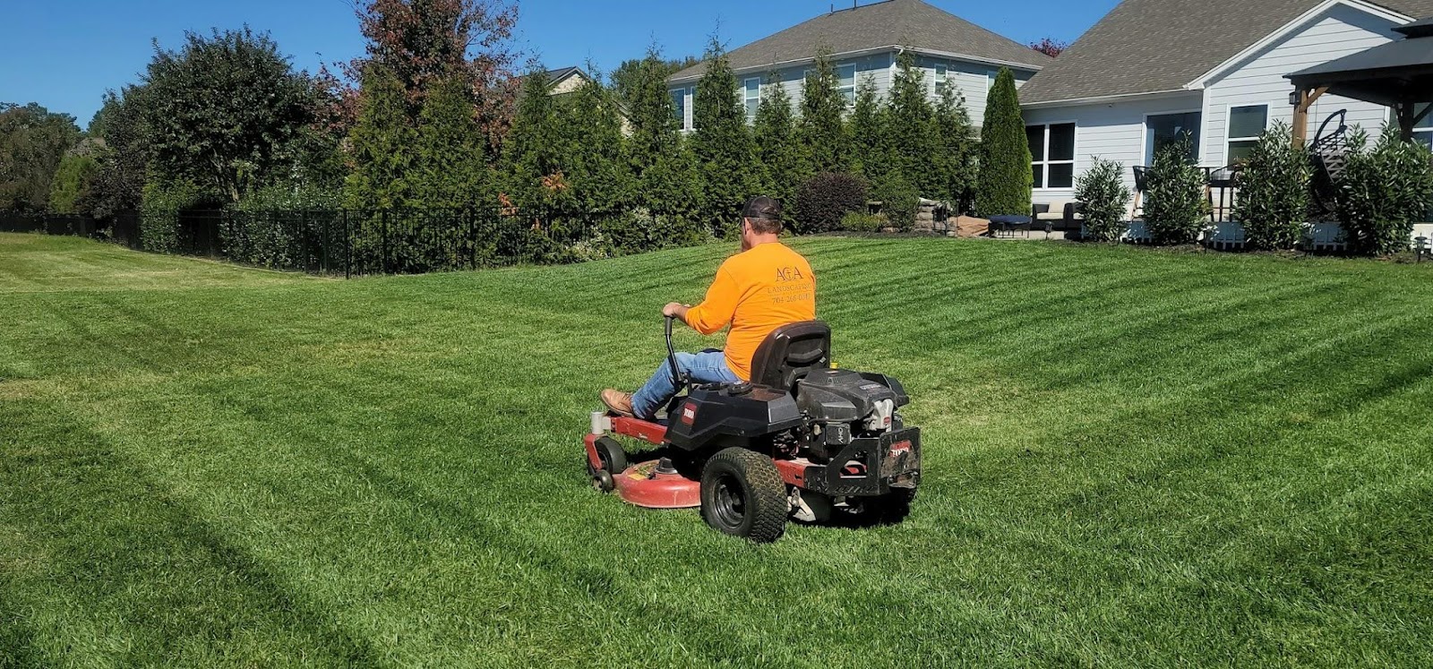 Lawn Care Made Easy: How To Keep Your Yard In Top Shape