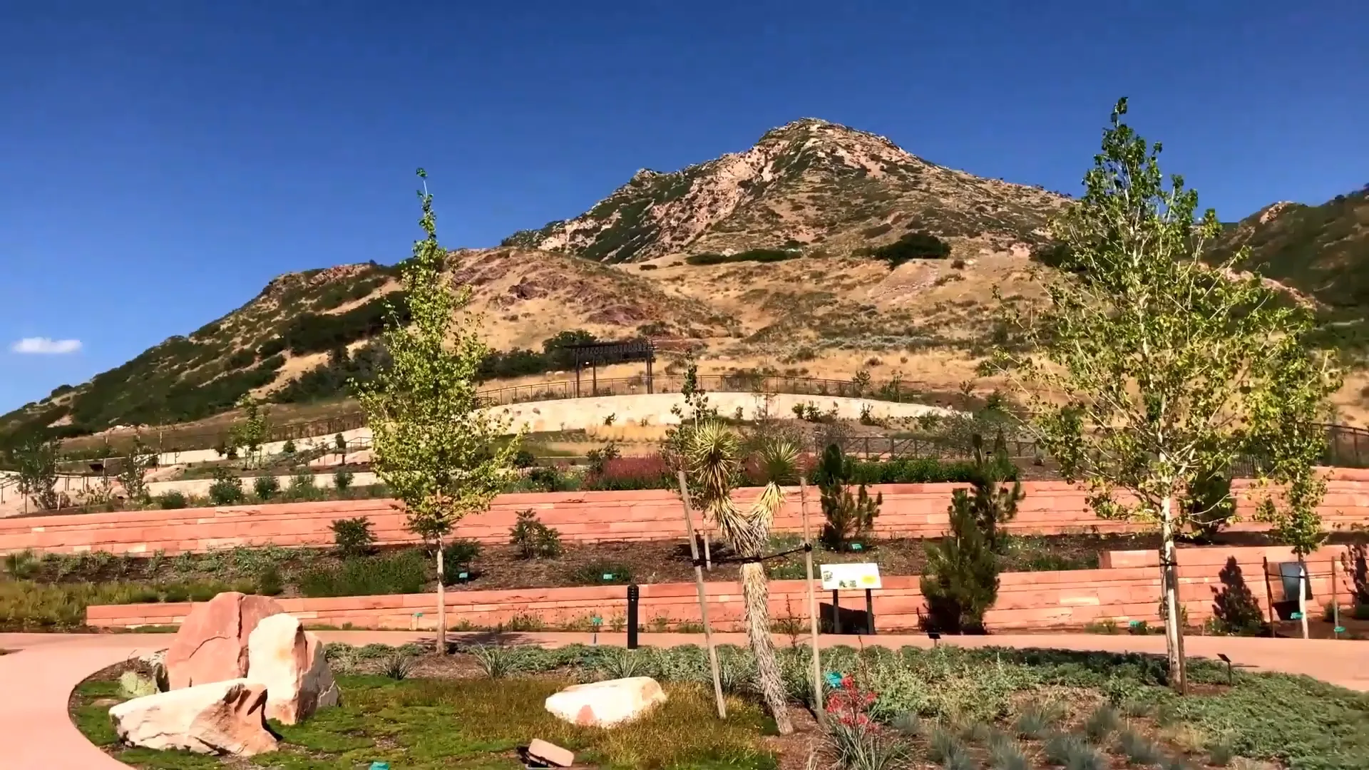 Colorful flowers and waterfall at Red Butte Garden