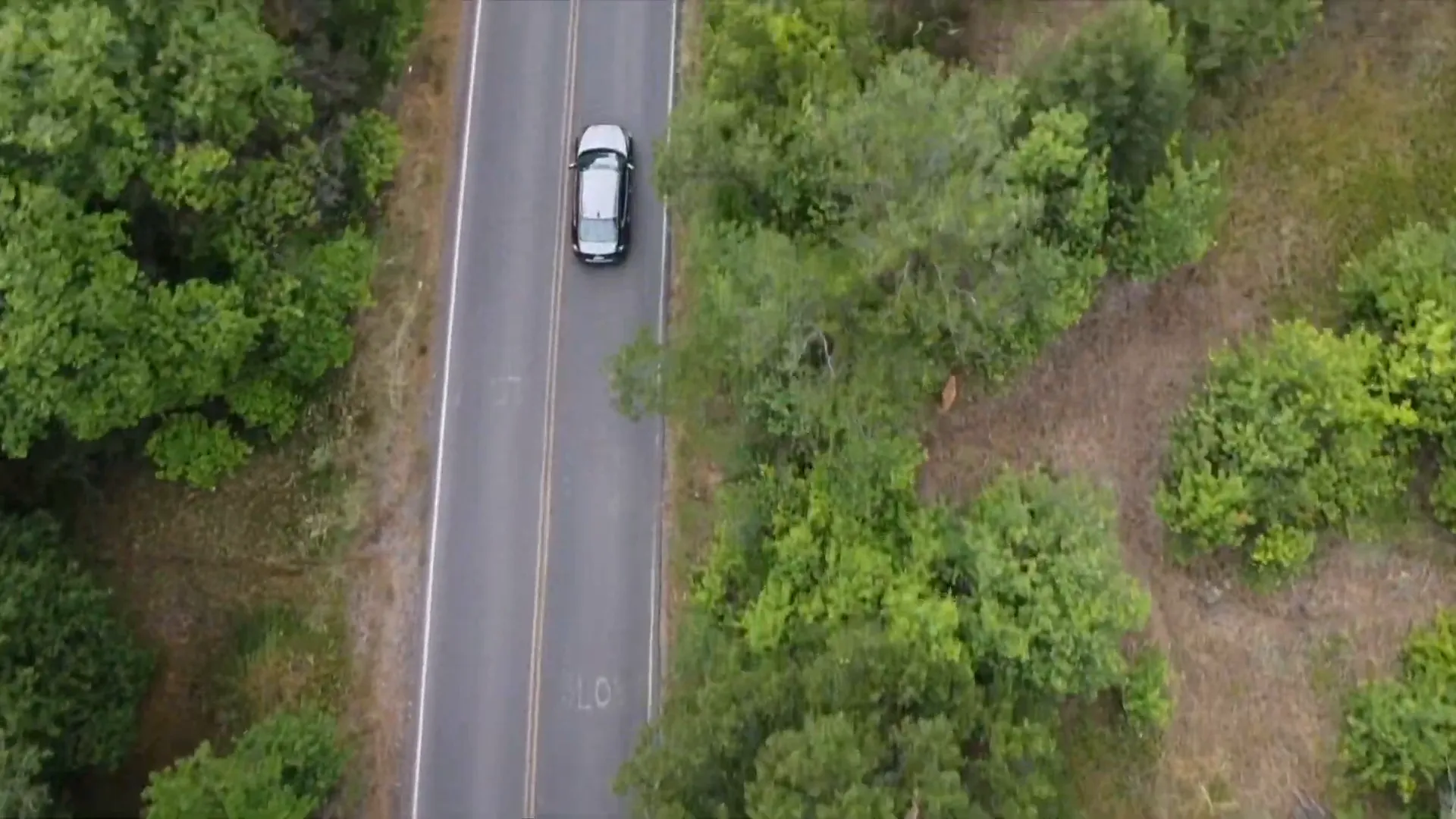 nebo loop